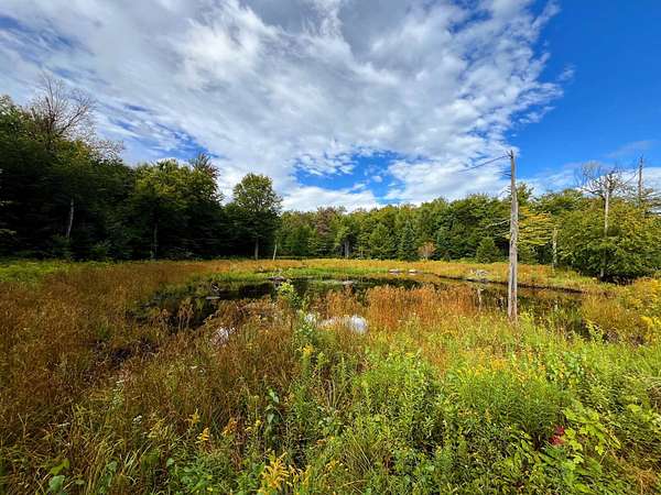 47 Acres of Recreational & Residential Land for Sale in Malone, New York