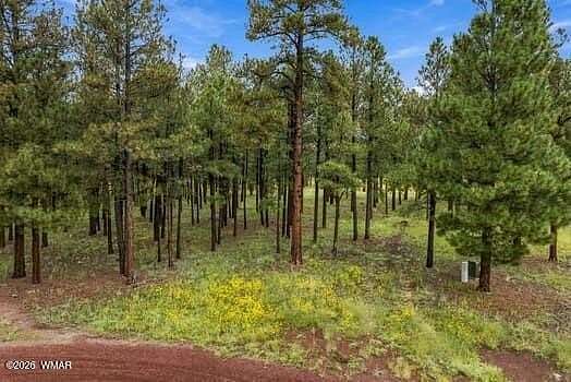 2.1 Acres of Residential Land for Sale in Greer, Arizona