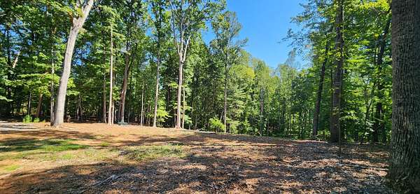 1 Acre of Residential Land for Sale in Moneta, Virginia