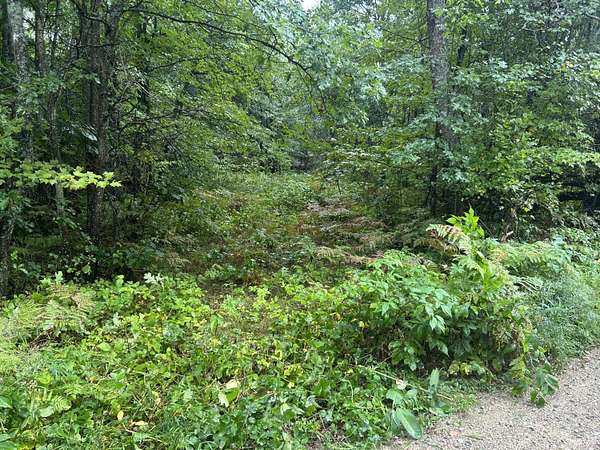 1.3 Acres of Residential Land for Sale in Houghton Lake, Michigan
