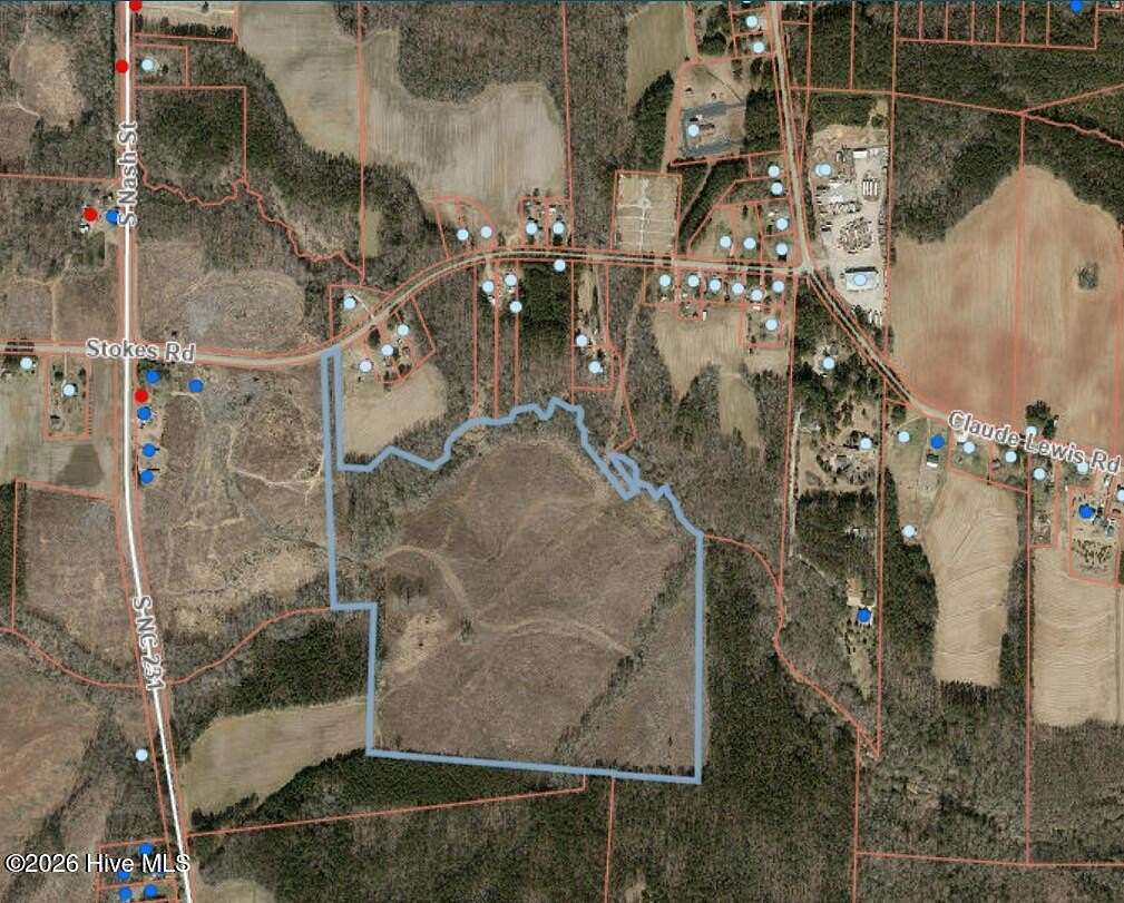 61.9 Acres of Recreational Land for Sale in Middlesex, North Carolina