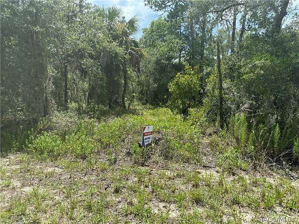 1 Acre of Residential Land for Sale in Dunnellon, Florida