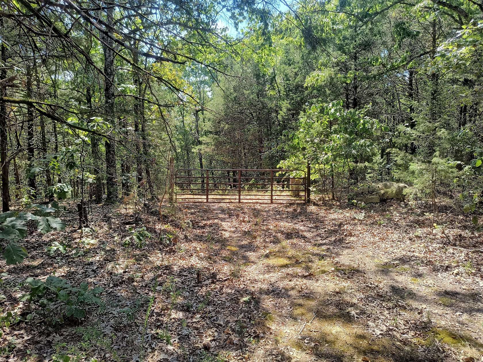 5 Acres of Residential Land for Sale in Theodosia, Missouri