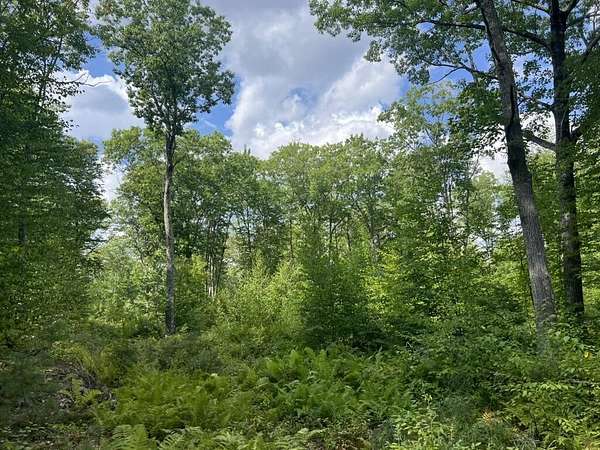 5.77 Acres of Residential Land for Sale in Lyman Town, Maine