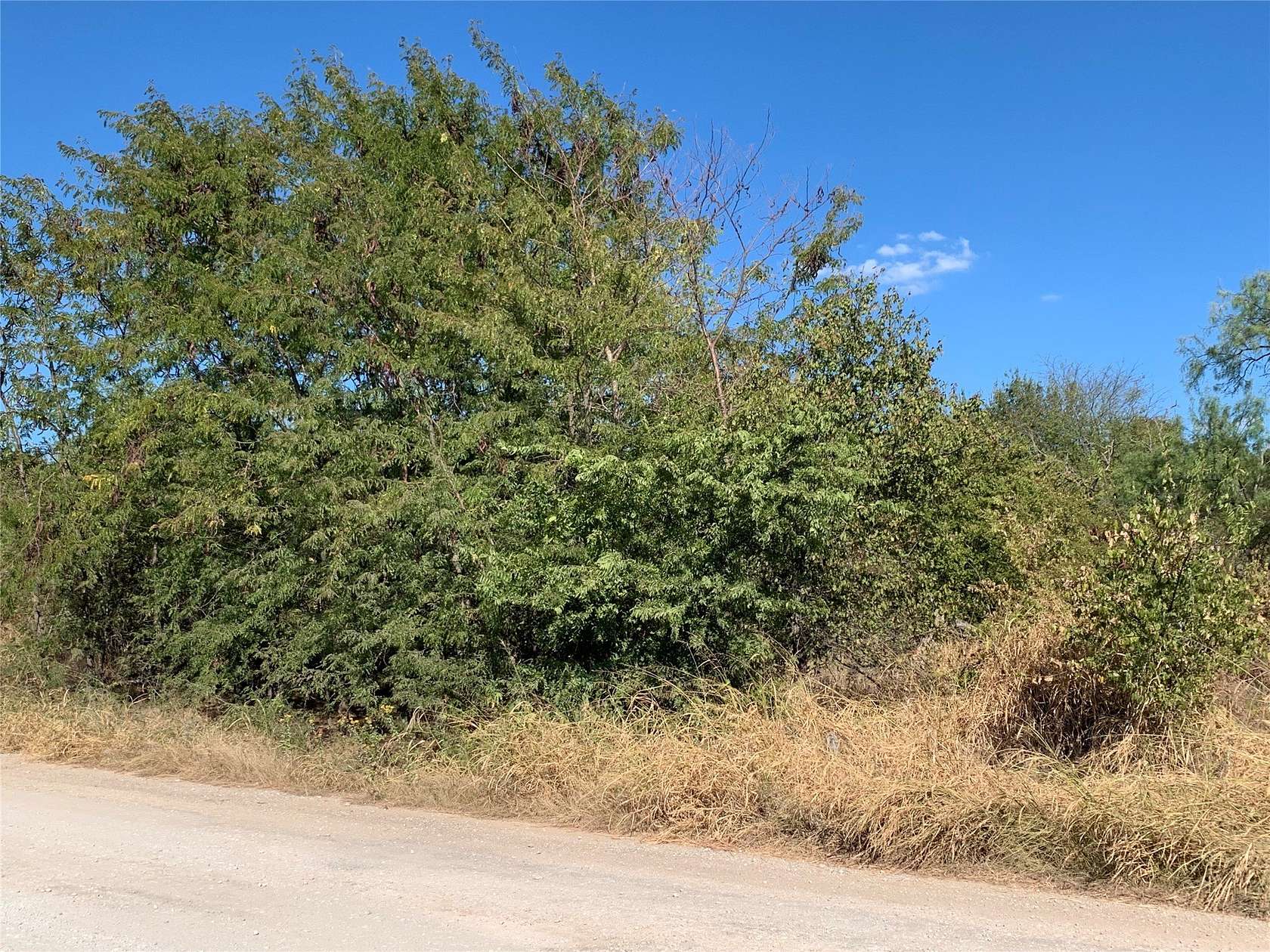 0.22 Acres of Residential Land for Sale in Bridgeport, Texas