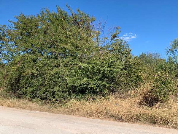 0.22 Acres of Residential Land for Sale in Bridgeport, Texas