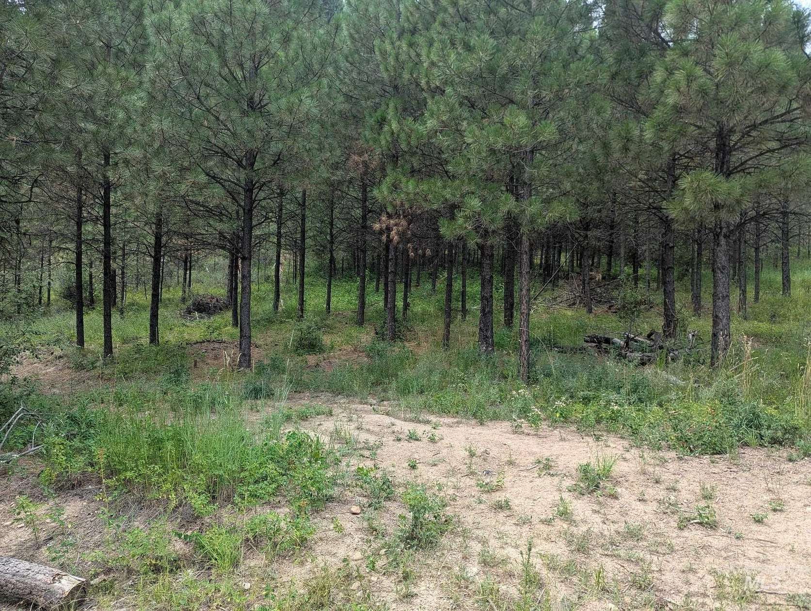 1 Acre of Residential Land for Sale in Lowman, Idaho