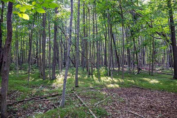 5 Acres of Residential Land for Sale in Egg Harbor, Wisconsin