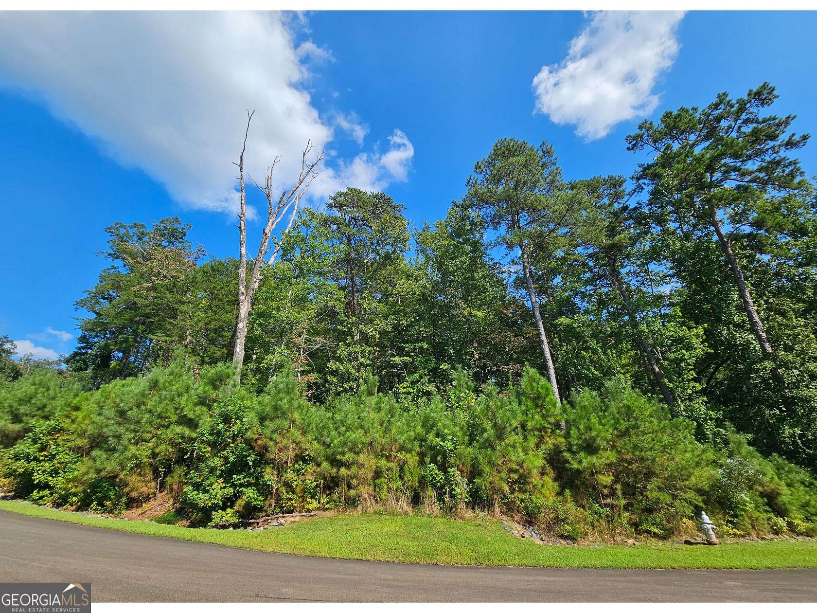 1.23 Acres of Residential Land for Sale in Ellijay, Georgia