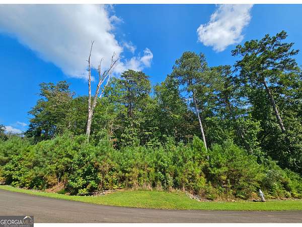 1.23 Acres of Residential Land for Sale in Ellijay, Georgia