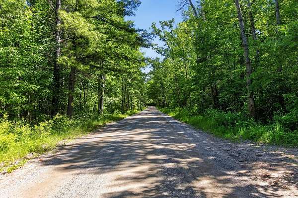 40 Acres of Recreational Land for Sale in Morley, Michigan