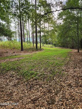 32.5 Acres of Recreational & Residential Land for Sale in Bonifay, Florida
