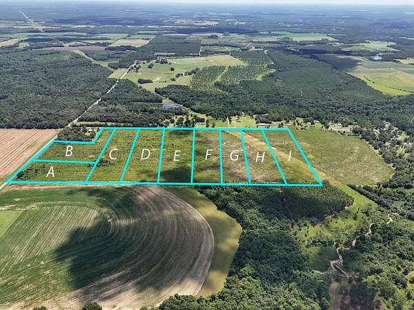 10 Acres of Residential Land for Sale in DeFuniak Springs, Florida