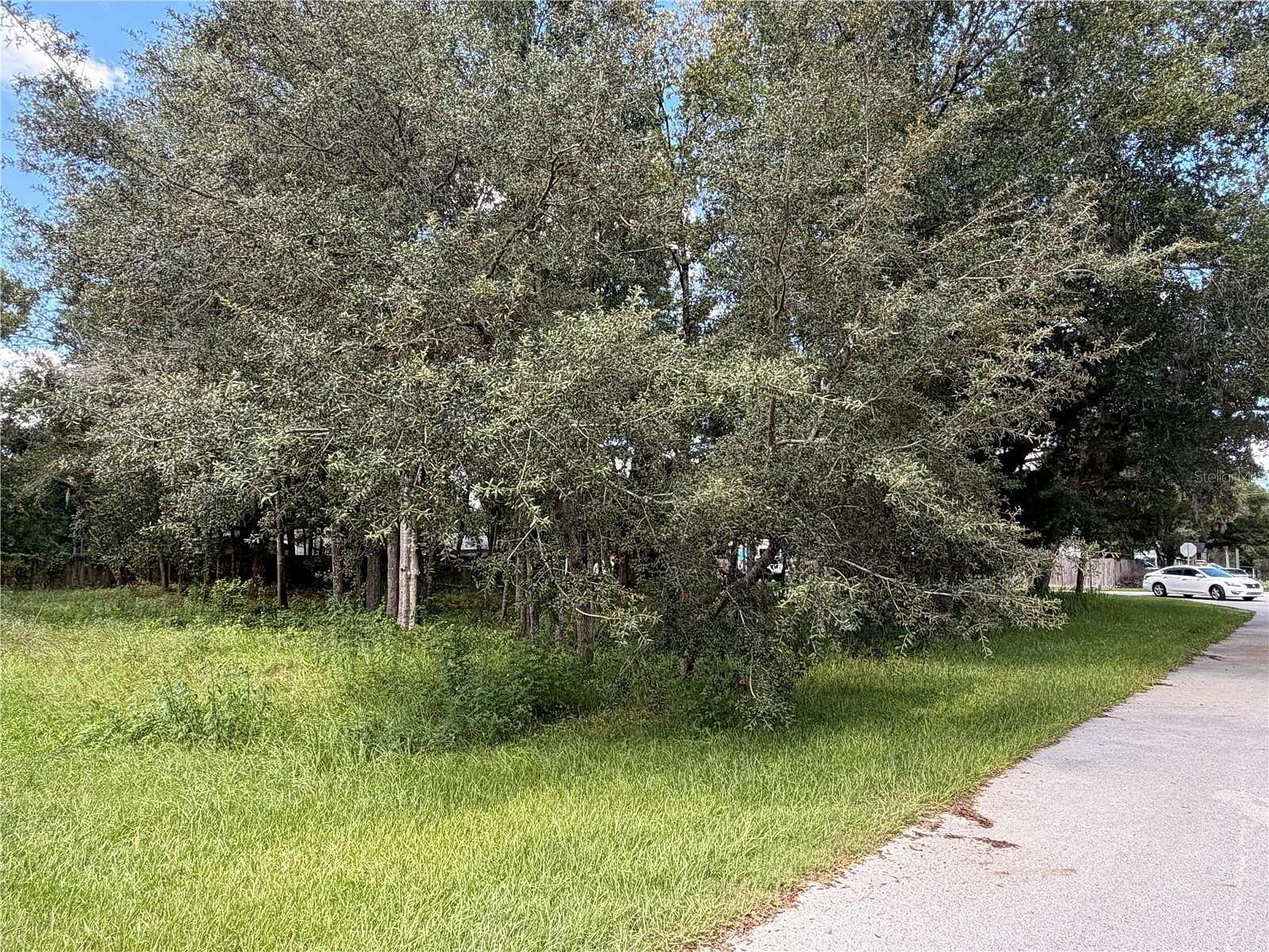 0.39 Acres of Residential Land for Sale in Homosassa, Florida