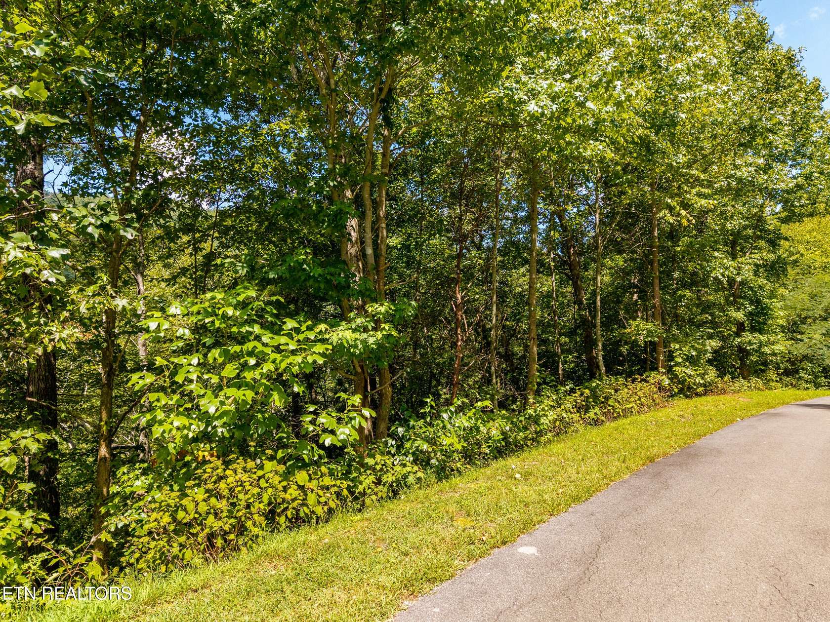2 Acres of Residential Land for Sale in Townsend, Tennessee