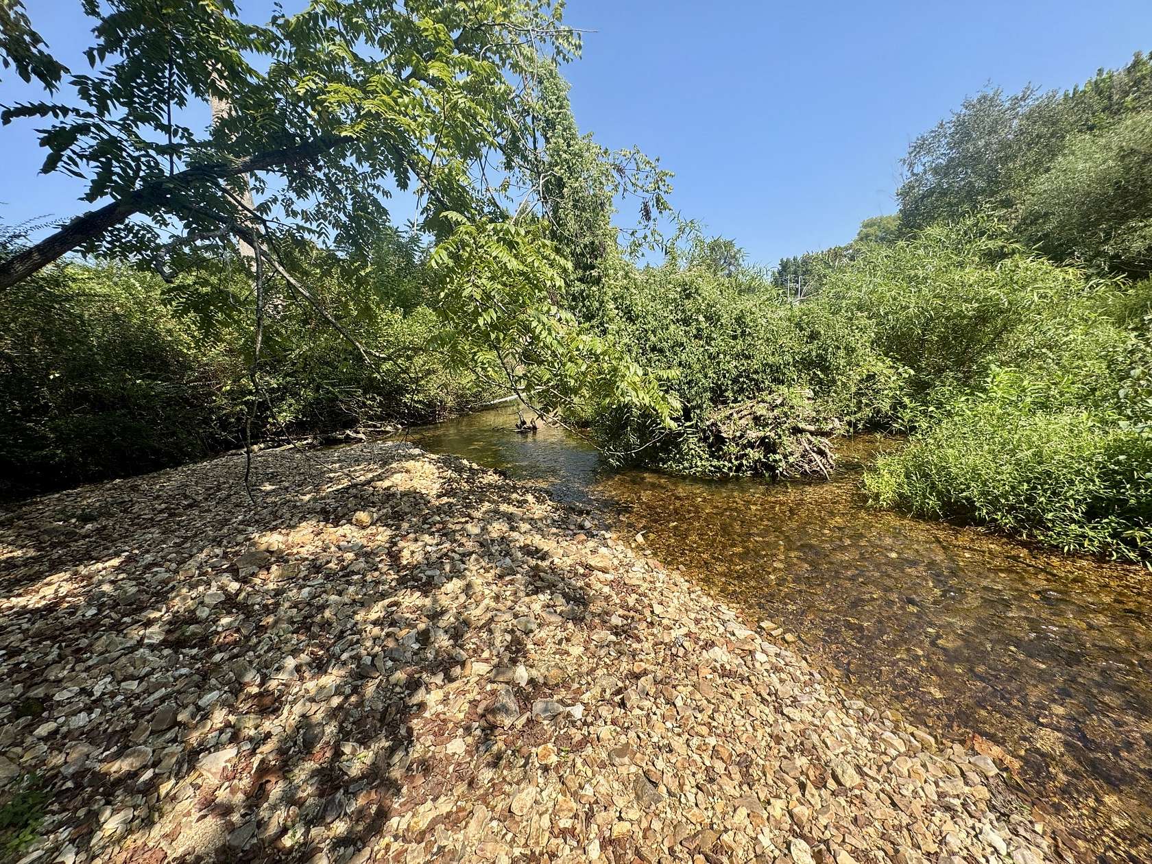 14.9 Acres of Land for Sale in Linden, Tennessee