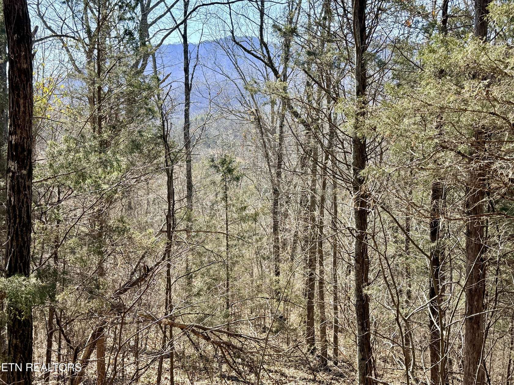 13.5 Acres of Agricultural Land for Sale in Sevierville, Tennessee