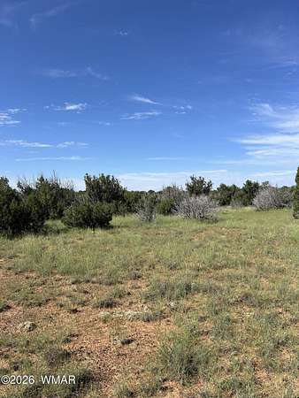 0.95 Acres of Residential Land for Sale in Concho, Arizona