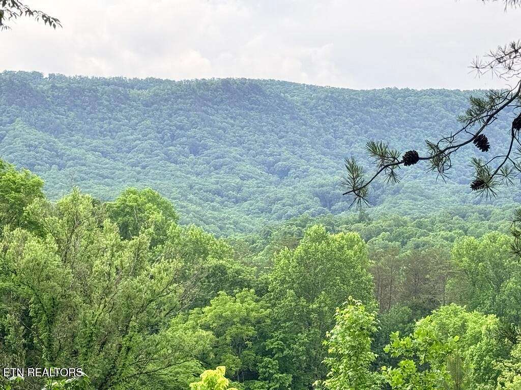 16.2 Acres of Agricultural Land for Sale in Seymour, Tennessee