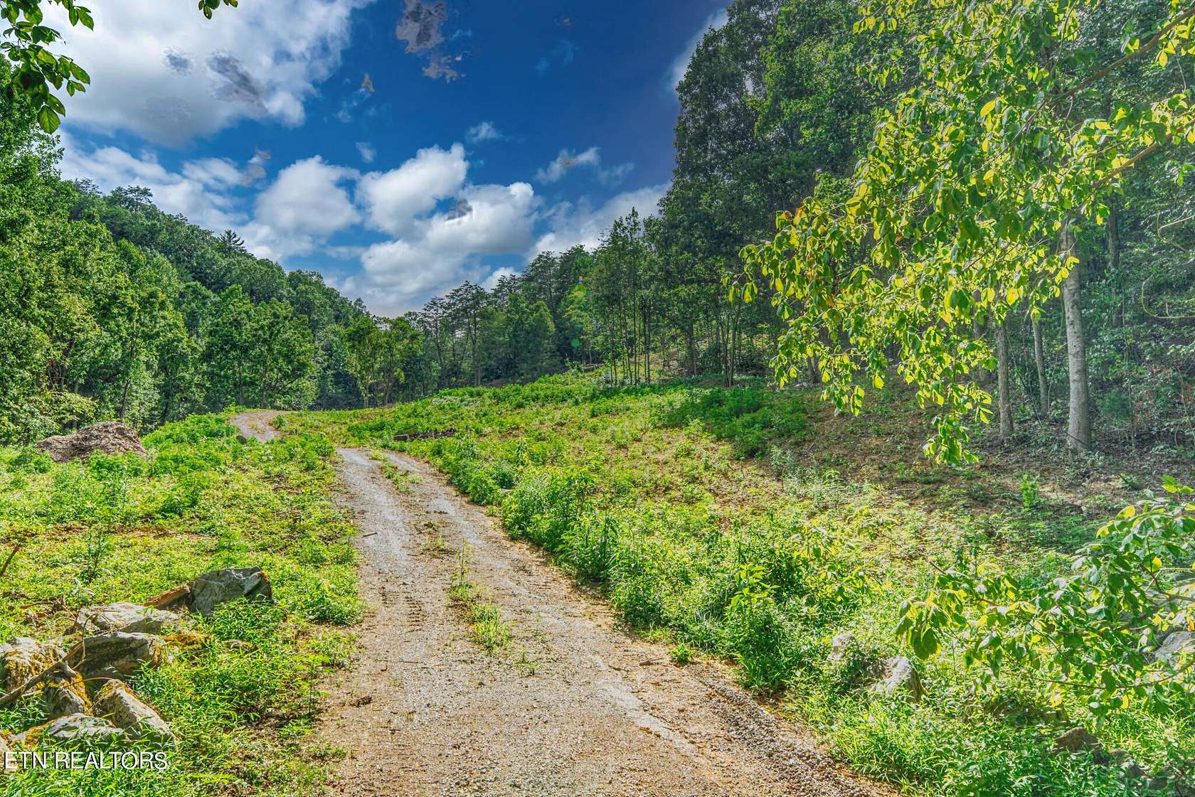 77.8 Acres of Recreational & Residential Land for Sale in Sevierville, Tennessee