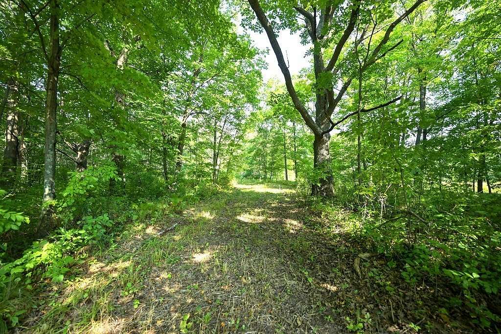 79 Acres of Recreational & Residential Land for Sale in Barronett, Wisconsin