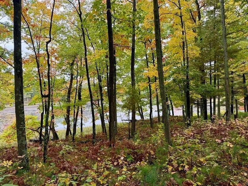 79 Acres of Recreational & Residential Land for Sale in Barronett, Wisconsin