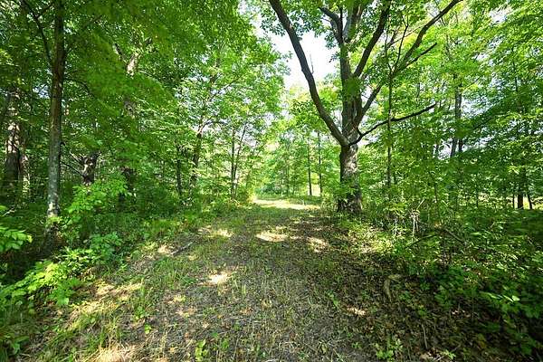 79 Acres of Recreational & Residential Land for Sale in Barronett, Wisconsin