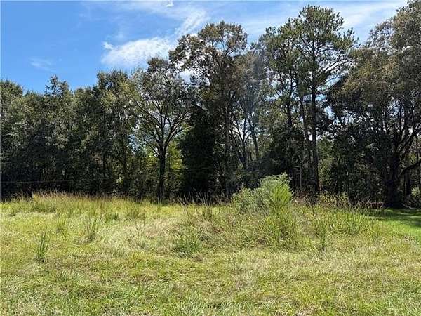 1 Acre of Residential Land for Sale in Ponchatoula, Louisiana