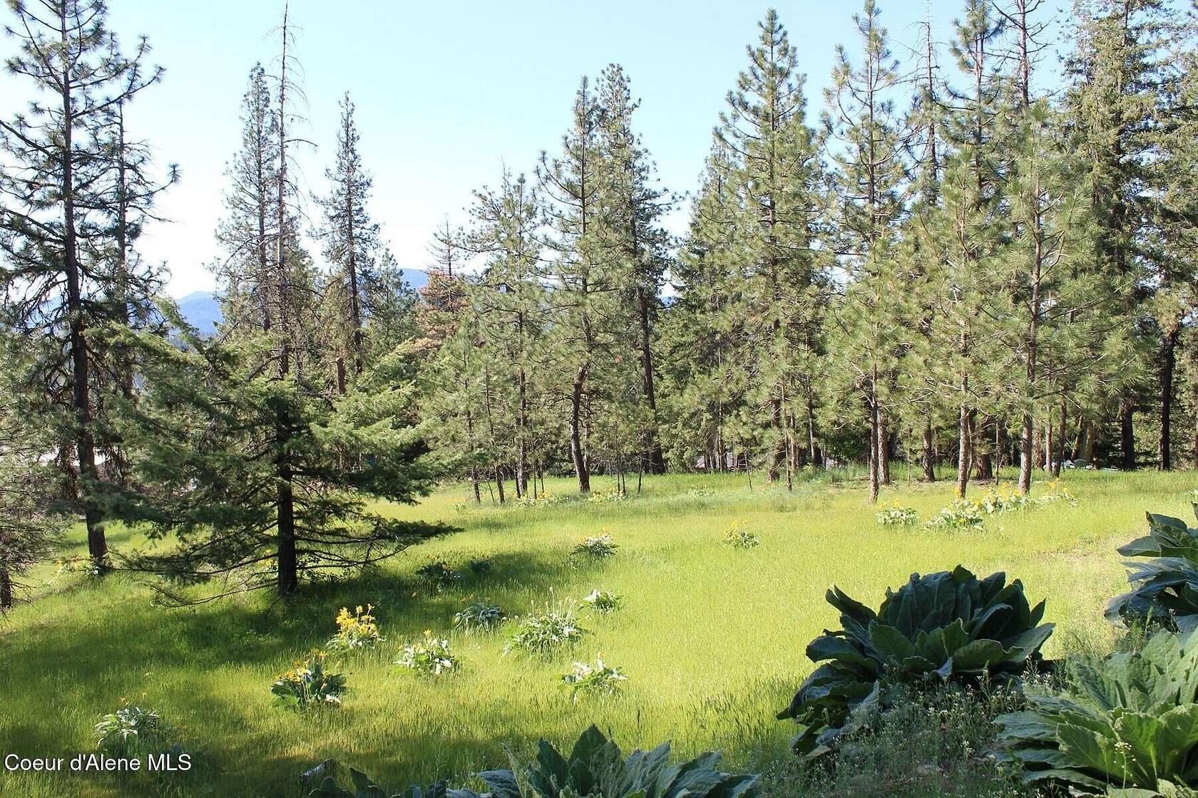 10 Acres of Agricultural Land for Sale in Coeur d'Alene, Idaho