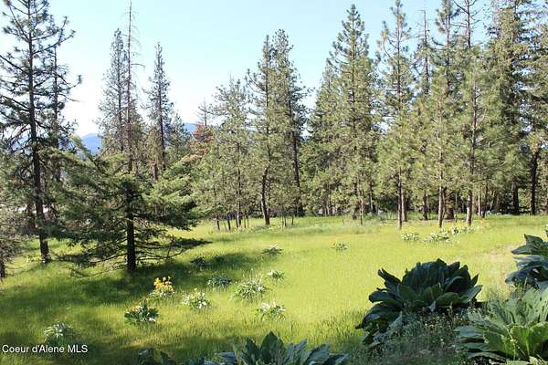 10 Acres of Agricultural Land for Sale in Coeur d'Alene, Idaho