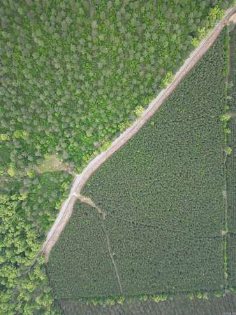 41.2 Acres of Recreational & Residential Land for Sale in Monticello, Arkansas