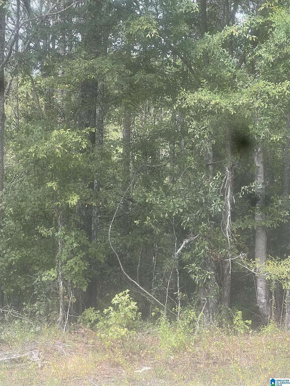 3 Acres of Land for Sale in Cordova, Alabama