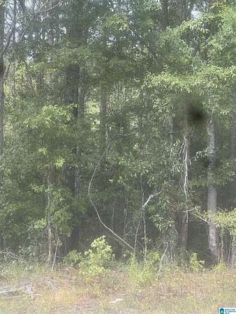 3 Acres of Land for Sale in Cordova, Alabama