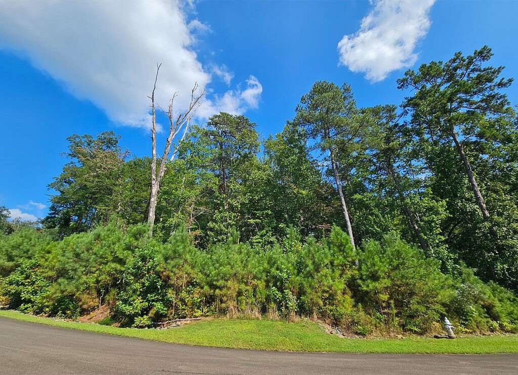 1.23 Acres of Residential Land for Sale in Ellijay, Georgia