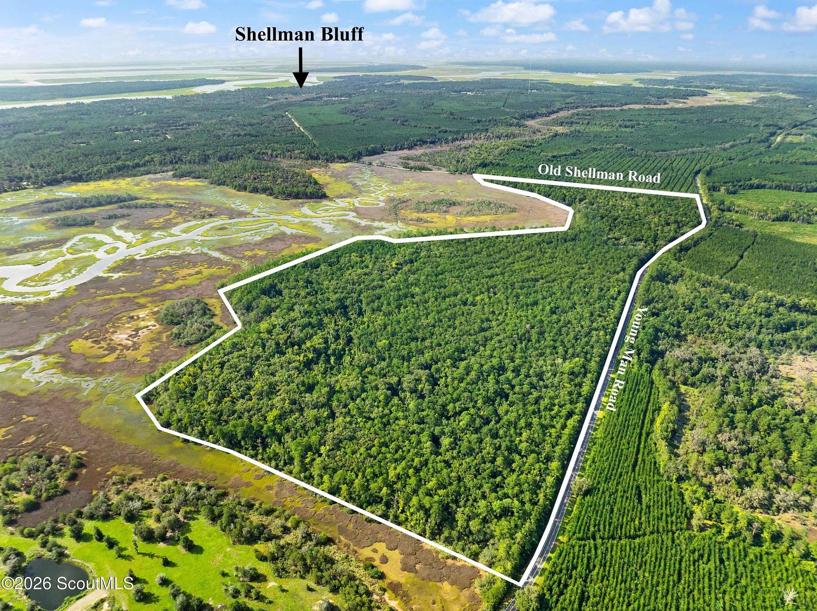 181 Acres of Land for Sale in Townsend, Georgia