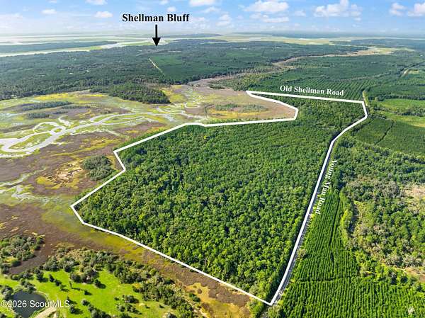 181 Acres of Land for Sale in Townsend, Georgia
