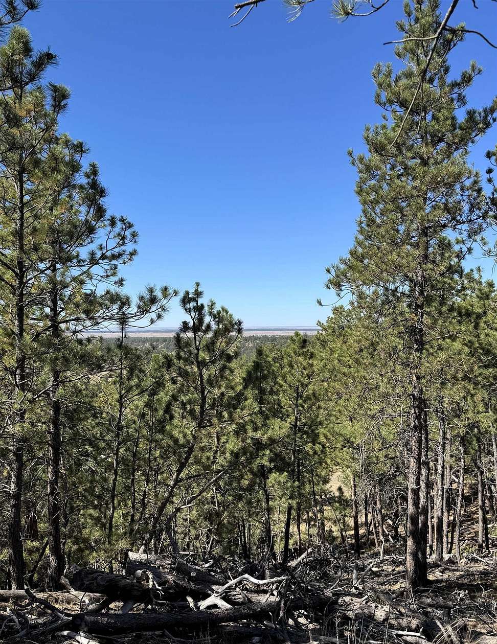 49 Acres of Land for Sale in Sundance, Wyoming