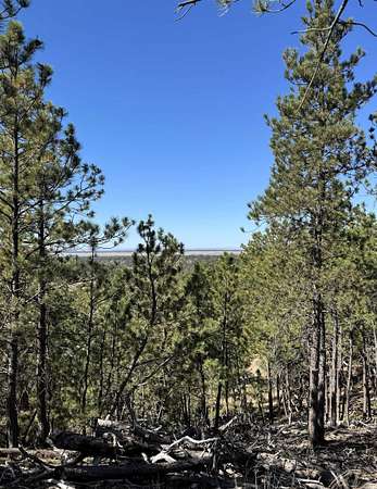 49 Acres of Land for Sale in Sundance, Wyoming