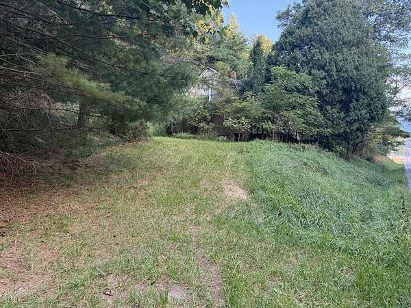 0.33 Acres of Residential Land for Sale in Elk Creek, Virginia