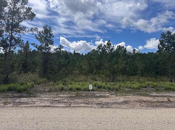 3.3 Acres of Residential Land for Sale in Ridgeville, South Carolina