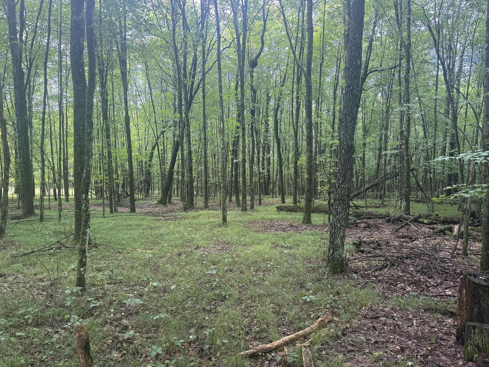 5 Acres of Land for Sale in Chase, Michigan