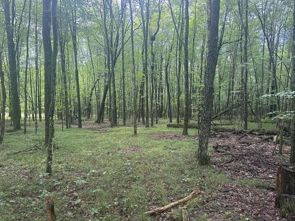 5 Acres of Land for Sale in Chase, Michigan