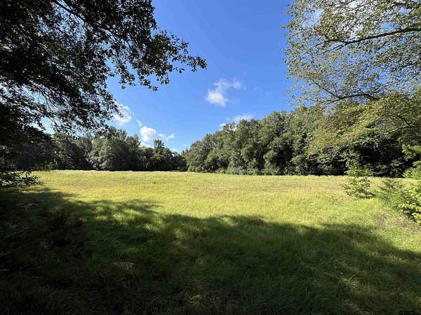 70 Acres of Recreational & Residential Land for Sale in Tyler, Texas