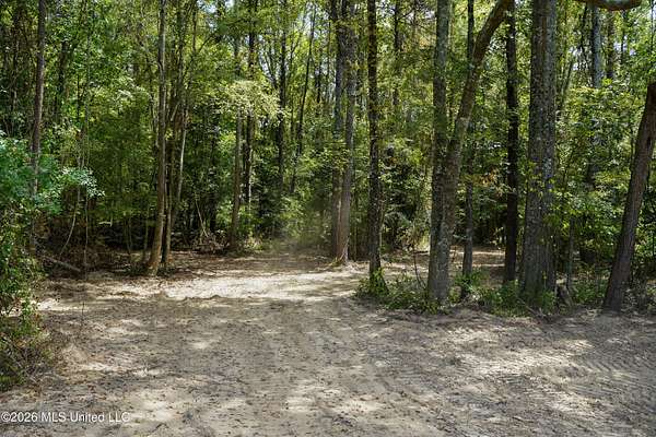 46.8 Acres of Recreational Land for Sale in Brandon, Mississippi