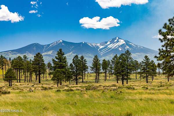 5.6 Acres of Residential Land for Sale in Flagstaff, Arizona