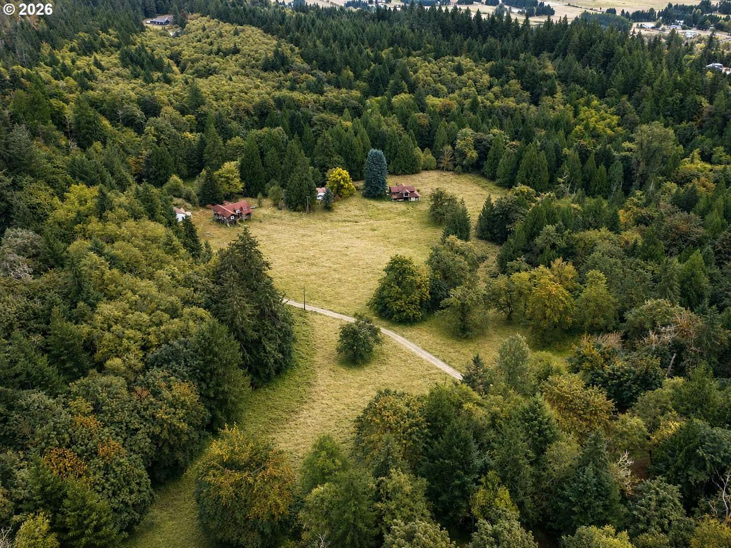 20 Acres of Land for Sale in Amboy, Washington