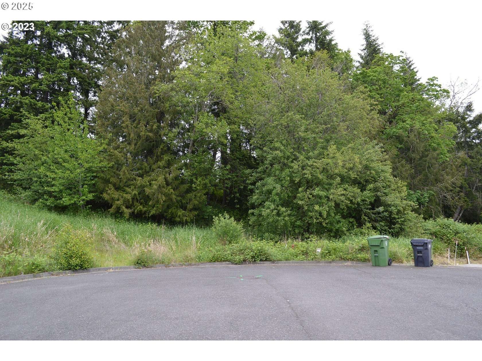 Residential Land for Sale in Rainier, Oregon