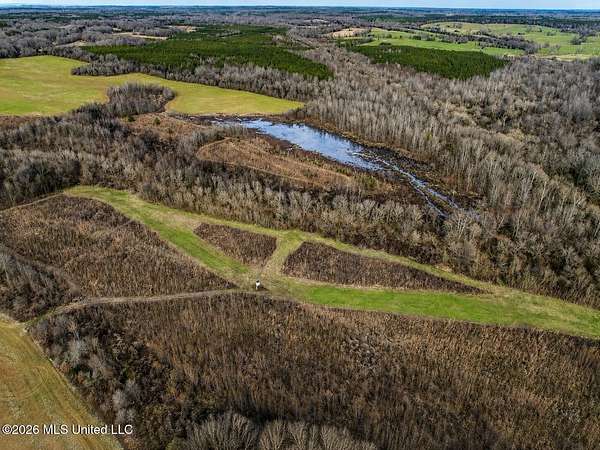60.5 Acres of Recreational Land for Sale in Pickens, Mississippi
