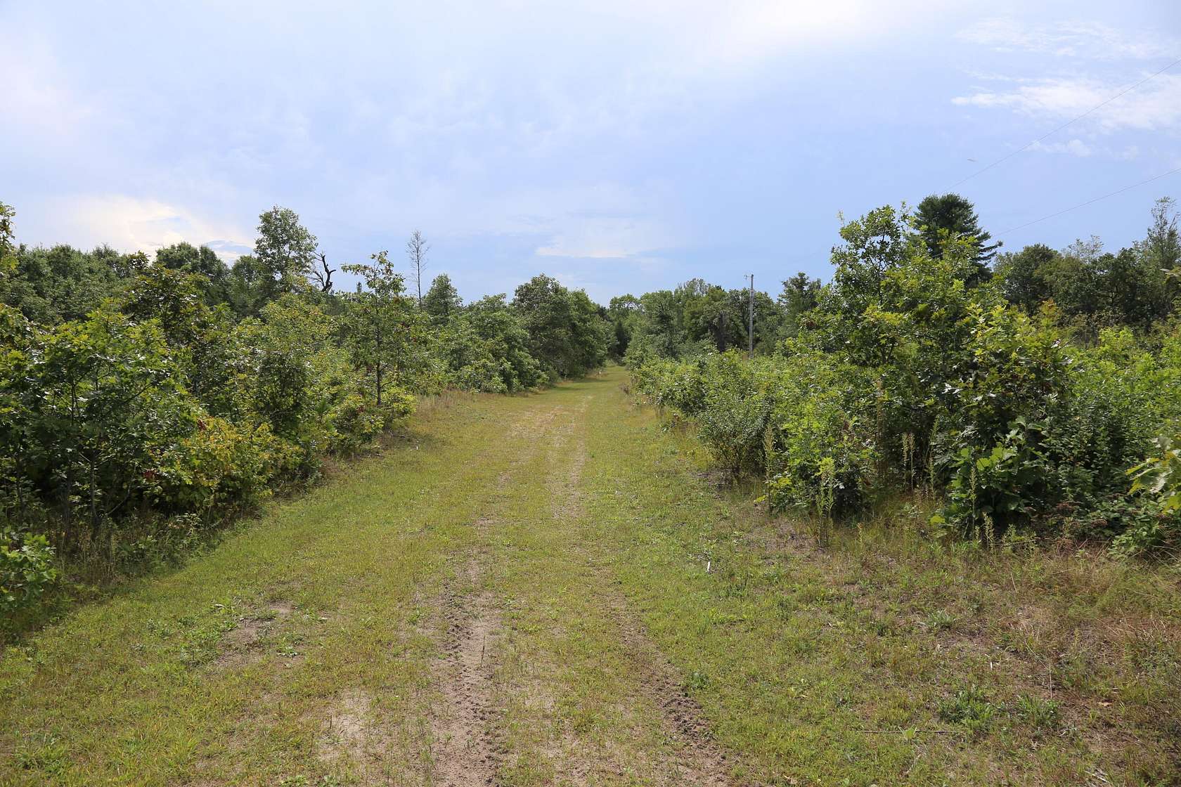 52.2 Acres of Recreational Land for Sale in Sparta, Wisconsin
