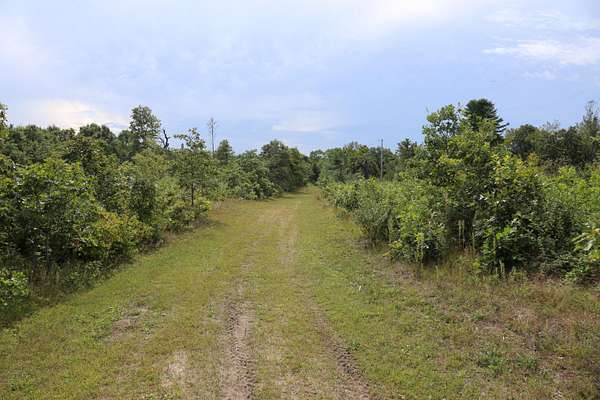 52.2 Acres of Recreational Land for Sale in Sparta, Wisconsin